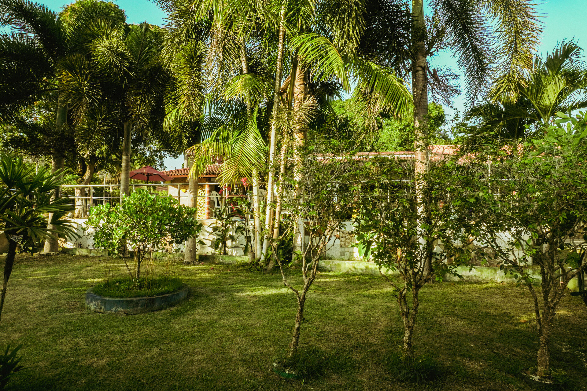 Quiosque com palmeiras